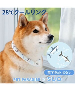  ペットパラダイス ２８℃ クールリング Ｌ 《サメ柄》