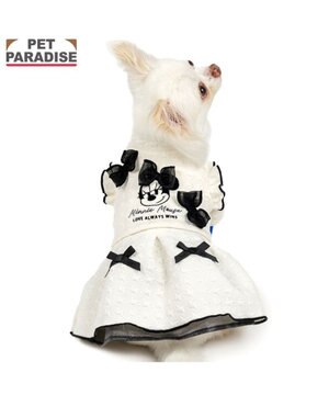  ディズニー ミニーマウス スウェット ワンピース 小型犬