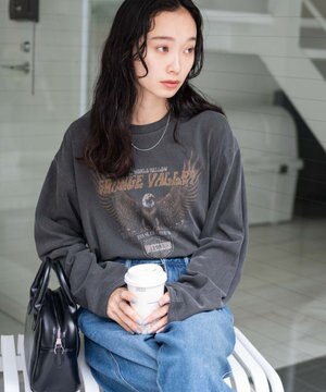  ピグメントロンT