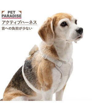  ペットパラダイス  アクティブハーネス  花柄りぼん ＳＭ 中型犬
