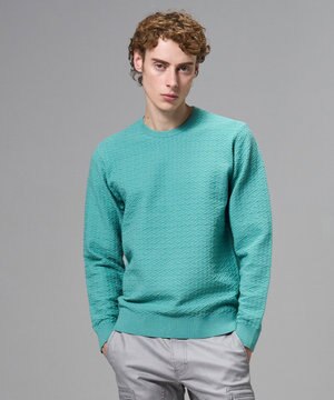  新柄【イージーケア】 ヴィスコースリンクス　クルーネックニット