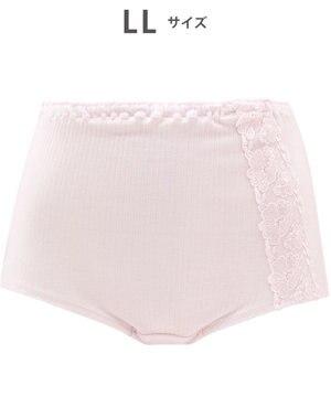  ショーツ はきこみ丈ふかめ 綿100％(身生地) リブ素材 ラクなはきごこち 【ボディスエード】 レディース PPA503 /ワコール