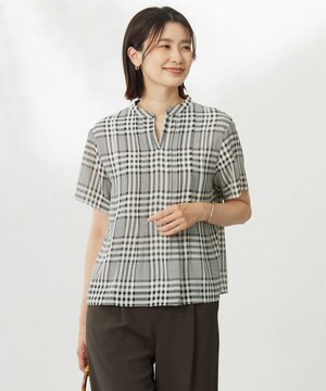  【WEB限定カラーあり・洗える】シアーチェック カットソー