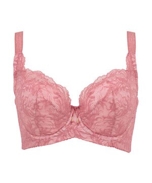  【BRADELIS New York / コンパクト補整ブラ】サポートバックラインブラ22A1