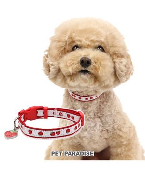  ペットパラダイス 苺 チャーム付き首輪 ３Ｓ