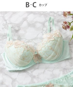  Wing Lesiage　【2720シリーズ】ブラジャー　シアー感のあるラグジュアリーなデザイン　ウイング／ワコール　PB2720