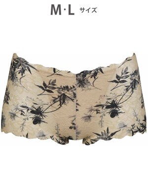  ショーツ 【GOCOCi ゴコチ】 CGG297とペア 肌あたりのやさしいレース アウターにひびきにくい はきこみ丈あさめ レディース PGG197 /ワコール