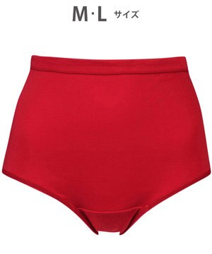  ショーツ 綿100%(身生地部) ゆったり設計 やわらかな肌ざわり 【綿の贅沢 コットン100】 はきこみ丈ふかめ EC3400 ウイング／ワコール