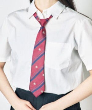  【SCHOOL ITEM】エンブレム柄スクールネクタイ