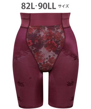  ガードル 【ハミデンヌ】 ウエストのハミ肉すっきりカバー ロング丈 KQ2785 ウイング／ワコール