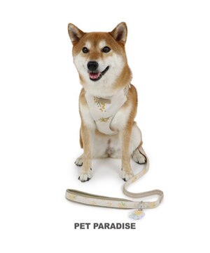  ペットパラダイス スリム ハーネス＆リード 《ミモザ柄》 SM 中型犬