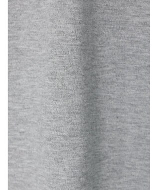 AMERICAN HOLIC Ｄａｉｌｙ！　クルーネック半袖カットプルオーバー2 Light Gray Mixture