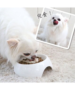 PET PARADISE リアルフード パウチスープ チキン＆ブロッコリー 50g×3パック 国産 0