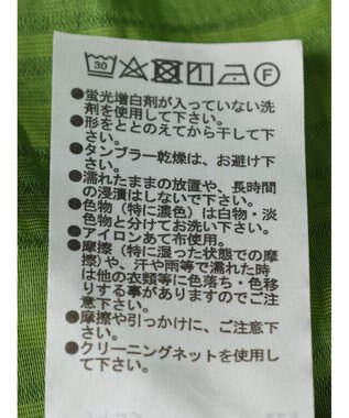 Green Parks シアーストライプショート丈シャツ Green