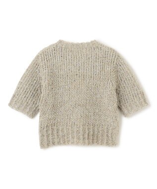 BEIGE， 【洗える・Precious 4月号掲載】TRITOMA / ラメクルーネック半袖ニット Gold