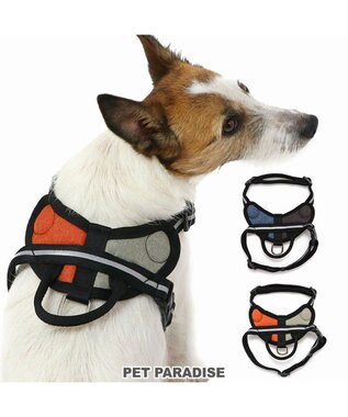 PET PARADISE ヘッドインハーネス 【Ｓ】 オレンジ / ブルー【  小型犬】 オレンジ×グレー