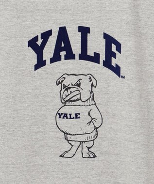 J.PRESS YORK STREET 【UNISEX】YALE × J.PRESS YORK STREET コラボTシャツ ライトグレー系