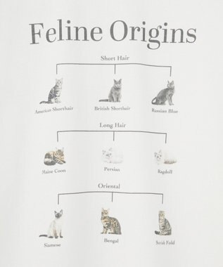 AMERICAN HOLIC アソートアニマルロングＴシャツ C