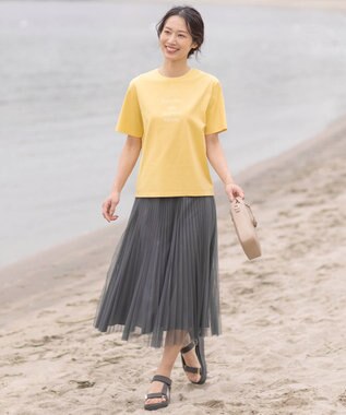 J.PRESS LADIES L 【WEB限定カラーあり・洗える】ハイゲージチュール プリーツ スカート グレー系