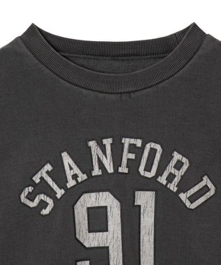 WEGO 【ユニセックス着用ITEM】ピグメントグラフィックプルオーバー 柄2