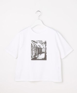J.PRESS LADIES プリント Ｔシャツ ホワイト系