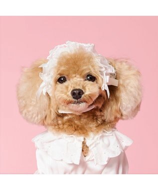 PET PARADISE cherircouture ヘッドドレス ４Ｓ～３Ｓ / ＳＳ～Ｓ ホワイト