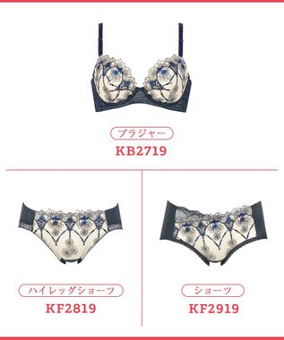 Wing ブラジャー 背中の段差をスムージング 脇高設計 脇から背中すっきり バストの脇流れをブロック 【後ろ姿きれいブラ】 ブラ KB2719 ウイング／ワコール コン