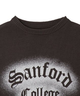 WEGO グラフィックニットBIGプルオーバー 柄16