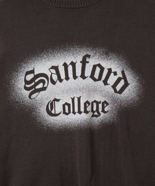 WEGO グラフィックニットBIGプルオーバー 柄16