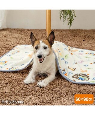 PET PARADISE ディズニー トイ・ストーリー ボア ブランケット 《総柄》 オフホワイト