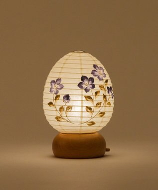 ちょうちん堂 【あかり道】〈手書絵付〉枯色桔梗 ちょうちん ライト ホワイト