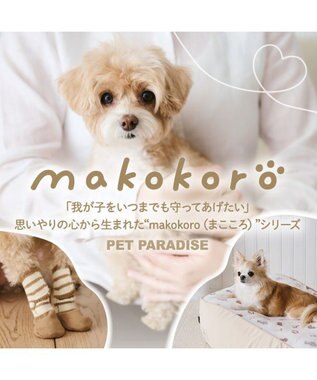 PET PARADISE ペットパラダイス makokoro スリット 靴下 《ボーダー》  Ｓ 小型犬 ボーダー