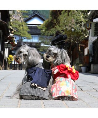 PET PARADISE ペットパラダイス 黒白 浴衣 とんぼ刺繍 中型犬 大型犬 黒