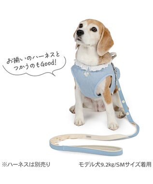 PET PARADISE ペットパラダイス 小花柄 デニム リード ＳＭ 中型犬 ブルー