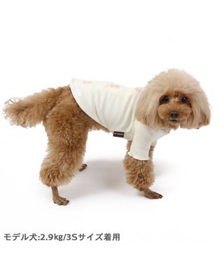 PET PARADISE 花柄 フリル 背中開き Tシャツ 小型犬 白~オフホワイト