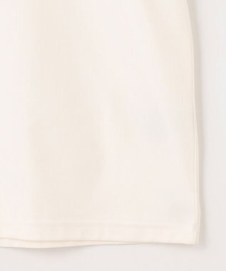 SHARE PARK MENS 【UVカット・吸水速乾・ストレッチ・軽量 】コラボフォトプリントTシャツ（L・XLサイズ） ホワイト系