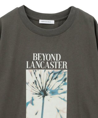 AMERICAN HOLIC BOTANICAL PHOTO ロングTシャツ/チュニック Charcoal Gray