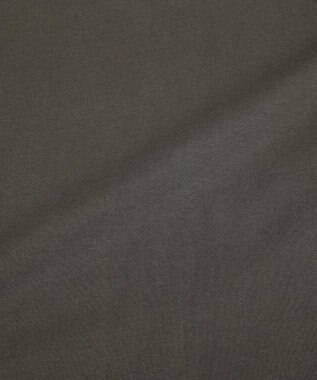 AMERICAN HOLIC BOTANICAL PHOTO ロングTシャツ/チュニック Charcoal Gray