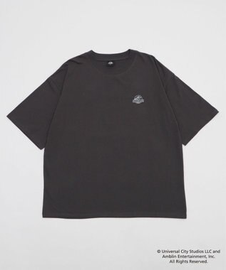 WEGO 【ユニセックス着用ITEM/SMLサイズ展開】JURASSIC　PARKグラフィックT（S） 柄4
