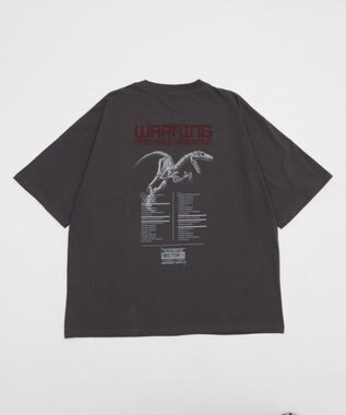 WEGO 【ユニセックス着用ITEM/SMLサイズ展開】JURASSIC　PARKグラフィックT（S） 柄4