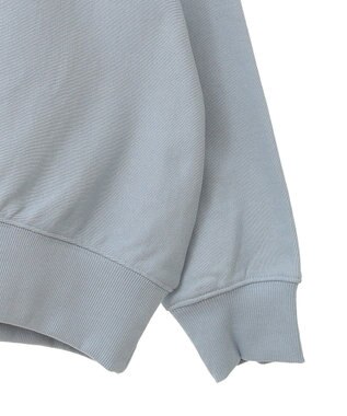 AMERICAN HOLIC ＳＴ．ＰＡＵＬロゴスウェット Sax