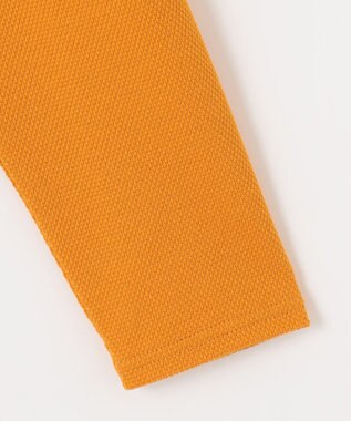 23区GOLF 【MEN】【吸水速乾・UVケア】ハニカムカノコ 長袖ポロシャツ イエロー系