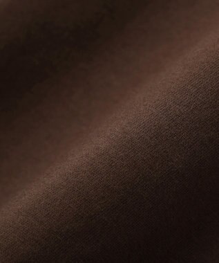 Green Parks 裾レースイレヘムフレンチＴシャツ Brown