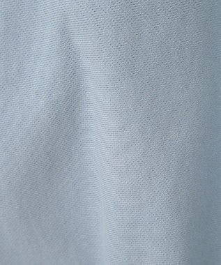 AMERICAN HOLIC ＳＴ．ＰＡＵＬロゴスウェット Sax