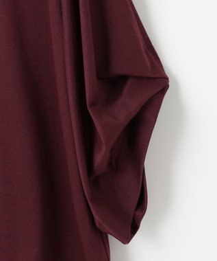 自由区 ナノシアースムース 袖デザイン カットソー ワイン系