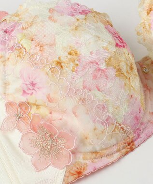 Wing ブラジャー 小さく見せるブラ Wing Lesiage 脇すっきり 背中すっきり 【2900シリーズ】 ブラ PB2901 ウイング／ワコール アイボリー