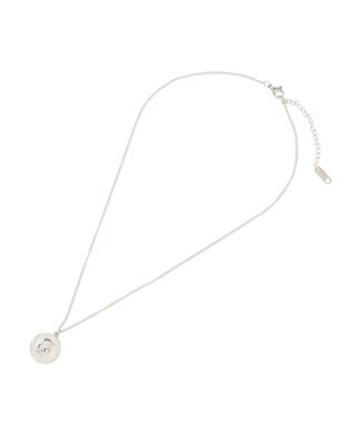 AMERICAN HOLIC 【ステンレス】コイントップスキニーチェーンネックレス Silver
