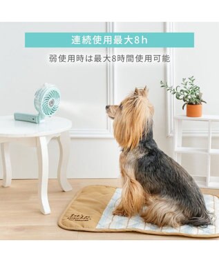 PET PARADISE 〔2026年モデル〕 ペットパラダイス ミスト ハンディファン 《ミントグリーン》 ミントグリーン