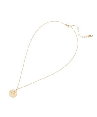 AMERICAN HOLIC 【ステンレス】コイントップスキニーチェーンネックレス Gold