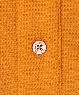 23区GOLF 【MEN】【吸水速乾・UVケア】ハニカムカノコ 長袖ポロシャツ イエロー系